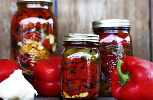 piperies-florinis-se-vazo