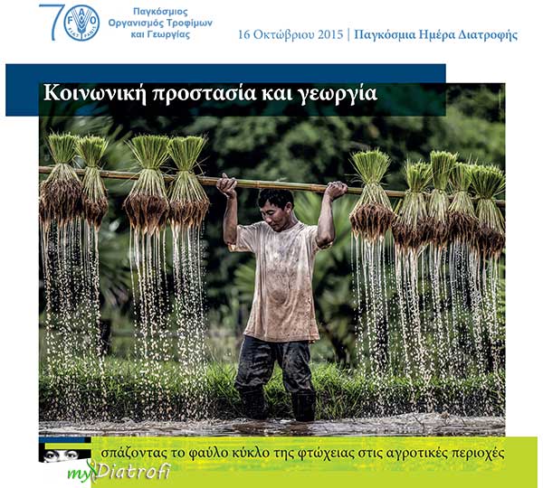 pagkosmia imera diatrofis 2015