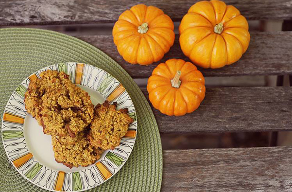 mpiskota kolokythas me vromi kai stafides