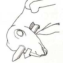 pos-denoume-to-arni-sti-soyvla-2