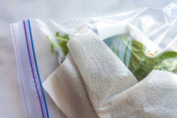 etoimes salates kai syntirisi sto psygeio 1