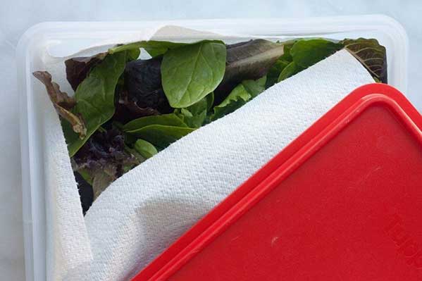 etoimes salates kai syntirisi sto psygeio 2