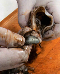 soupies-pos-katharizontai2