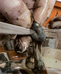 soupies-pos-katharizontai8